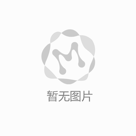 公司使命